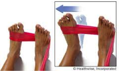 Theraband Exercise 2