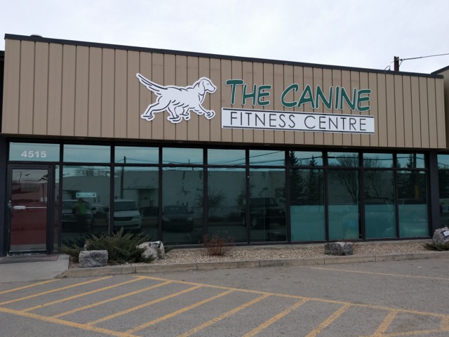 The Canine Fitness Center