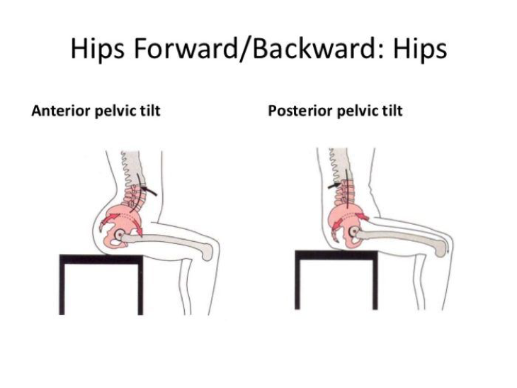 Pelvic Tilts