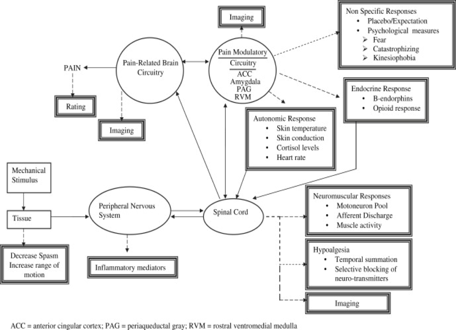 Science of Manual Therapy